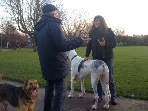 Kilburn Grange Park: Where dogs congregate