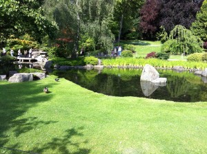 Holland Park lawn & pond