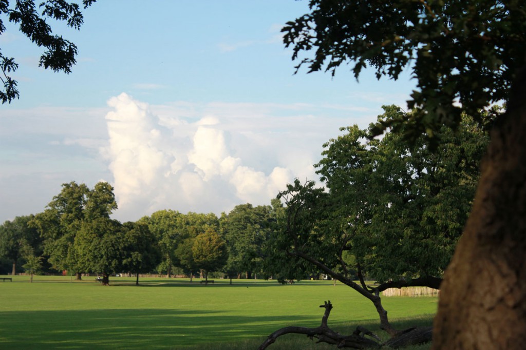Clissold Park green and clouds