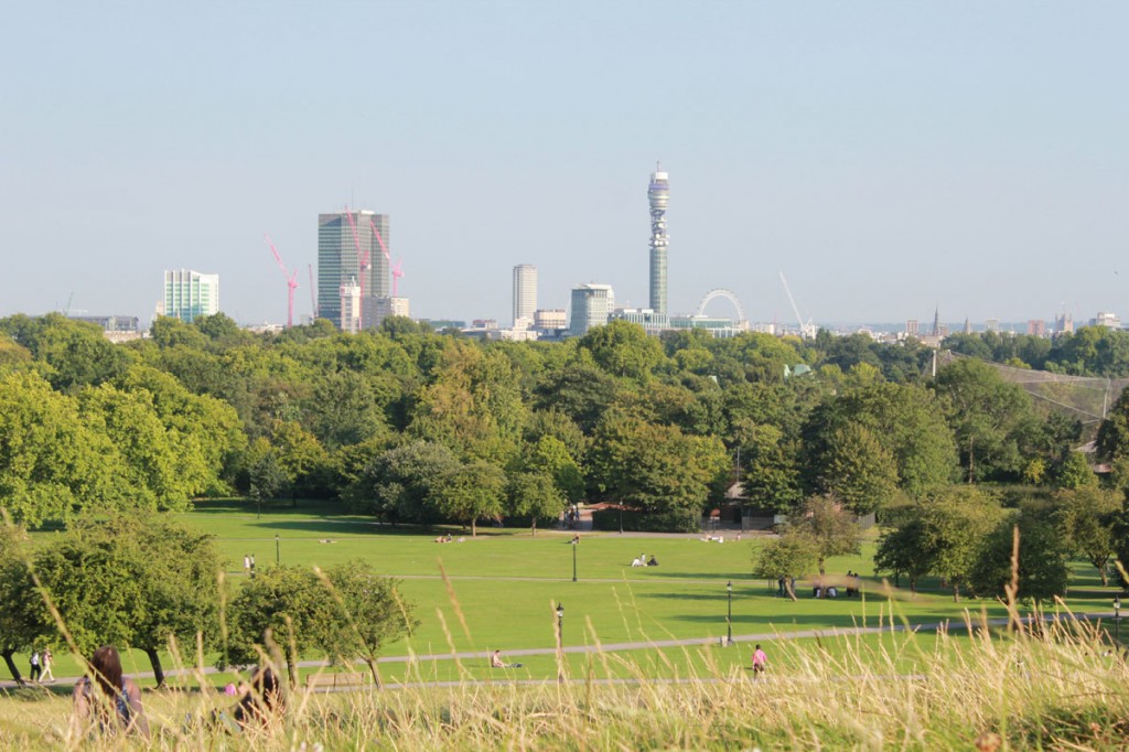 Primrose Hill Park overlooking the city from the area of wild grass