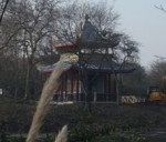 Victoria Park view of pagoda